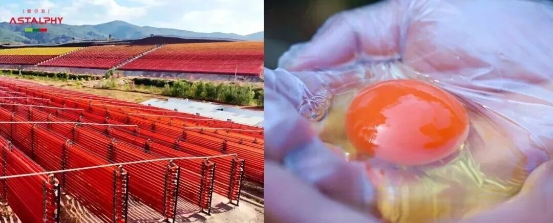 �����t�����r�����u������һ�ӵĠI�B(y��ng)�� ��һ�ӵ��xָُ��